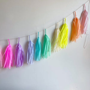 Cloudland Rainbow Tasselfairy Garland